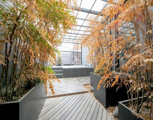 a greenhouse with some plants in it at JS Boutique Hotel in Hwaseong