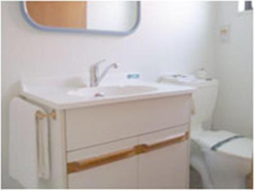 a bathroom with a sink and a toilet and a mirror at 88 Wallace Court Motel in Wellington