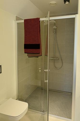 a bathroom with a shower with a toilet and towels at Viitina vesiveski in Rõuge