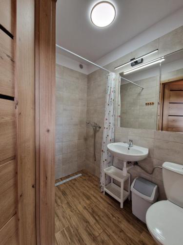 a bathroom with a sink and a toilet at Emides in Pobierowo