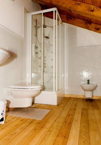 a bathroom with a shower and a toilet at Albergo Diffuso Dolomiti in Forni di Sotto