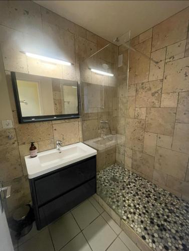 une salle de bain avec un lavabo et une douche dans l'établissement Studio Richelieu 2 et son parking privé, à Villeurbanne