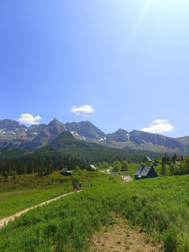 a view of a green field with mountains in the background at Cicha Woda 300 m od Gorący Potok i Termy Szaflary in Szaflary