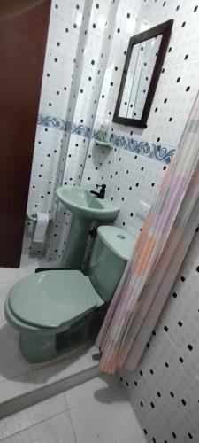 a bathroom with a green toilet and a sink at Hospedaje Solianka in Bogotá