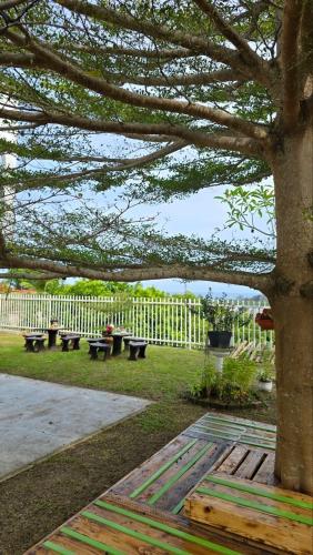 a group of benches in a park with a tree at KK Sunset Villa- Full Sunset Balcony, Mosquito Free, 4K TVs, 5G WIFI and more! in Kota Kinabalu