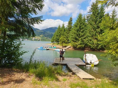 a person standing on a dock on a lake with boats at Cabana belvedere (VIS) in Colibiţa