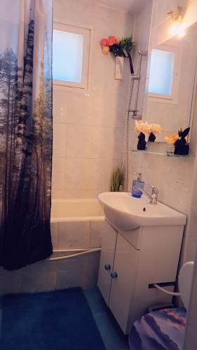 a bathroom with a sink and a shower with a tub at Casita in Vaslui