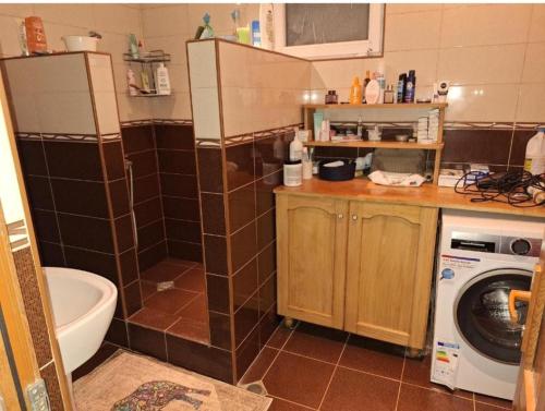 baño pequeño con lavadora y lavadora en Kisa, en Martvili