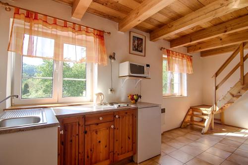 a kitchen with a sink and a microwave at Penzion Neco in Malá Skála