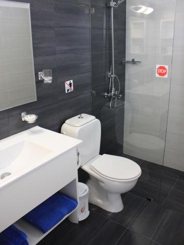 un bagno con WC, lavandino e doccia di Ostria ad Agia Paraskevi