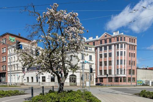 a tree in the middle of a street with buildings at P6-A Riga Old Town Apartments in Rīga