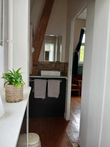 une salle de bain avec un lavabo et un comptoir avec des serviettes dans l'établissement Gîte Chateau baie de somme 10 a 12 personnes, à Mons-Boubert