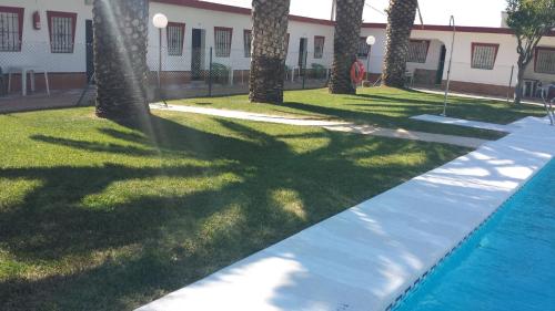 una piscina con palmeras en un patio en Hostal las Parcelas, en Conil de la Frontera