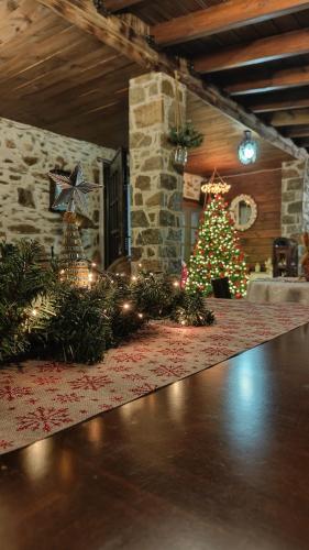 a living room with a christmas tree and christmas decorations at Panorama Prespes in Agios Germanos