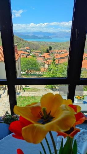 a yellow flower sitting on a table in front of a window at Panorama Prespes in Agios Germanos