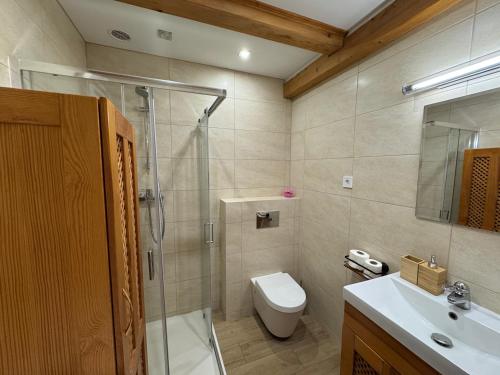 a bathroom with a shower and a toilet and a sink at Czar Roztocza in Hamernia
