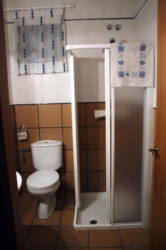 a small bathroom with a toilet and a shower at La Cabachuela in Casares de las Hurdes