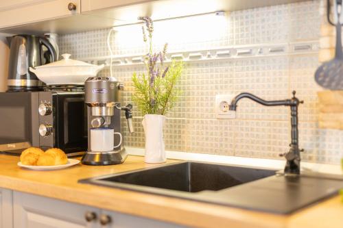 a kitchen counter with a sink and a coffee maker at Old house Rustica with pool, jacuzzi and tavern - Valincic in Brinje