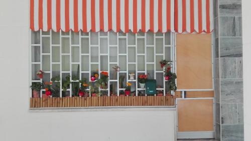 a window with a bunch of flowers in it at Lisbon Coast Flat in Quinta de Santo António