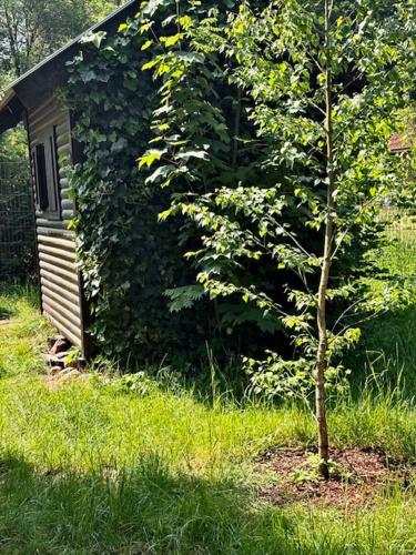 Jardín al aire libre en Lütt Heidjer Hus