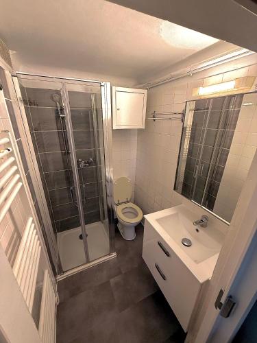 une salle de bain avec une douche, des toilettes et un lavabo dans l'établissement Eaux Iris - Studio avec Jardin privatisé proche Casino, à La Roche-Posay