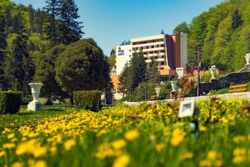 O grădină în afara Hotel Perla