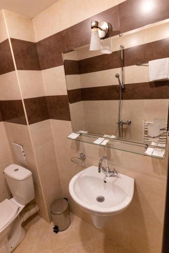 a bathroom with a sink and a toilet and a mirror at Hotel DEMETRA in Berkovitsa