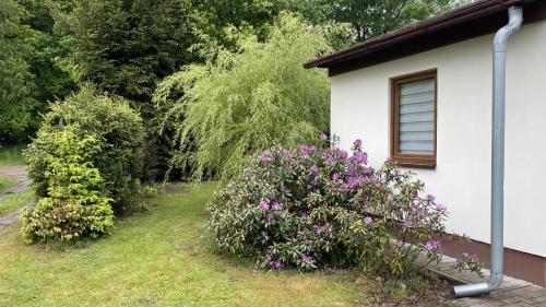 a house with purple flowers in the yard at Chata Brodský E1064 in Červený Kostelec