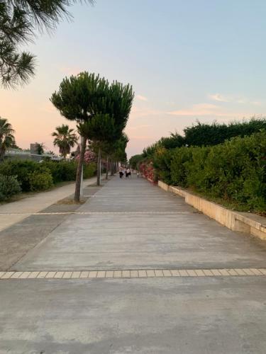 a sidewalk with trees on the side of a road at Vala Mar Residence Shima in Draçi