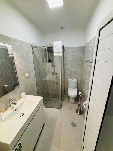 un bagno con doccia, lavandino e WC di Vila Ramos II-Funchal a Funchal