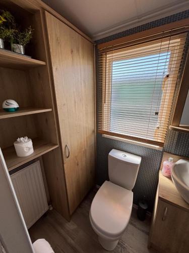 a small bathroom with a toilet and a sink at Sunnymede B5 - Fantasy Island - HOT TUB, ramped decking, patio doors, central heating, pet friendly - Meadow Lakes Caravan & Lodge Hire in Ingoldmells