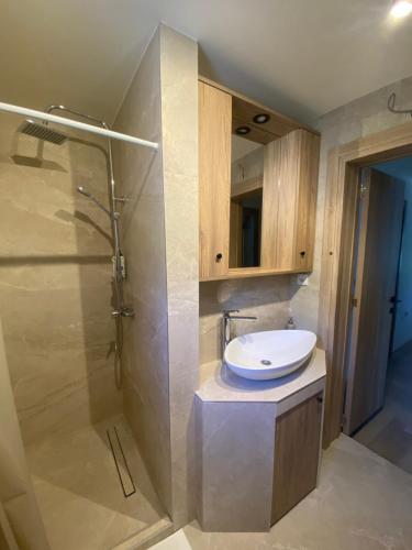 Koupelna v ubytování Apartmani Radmanovic