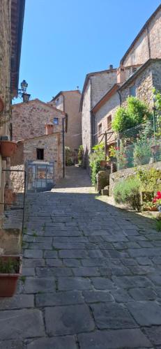 an alley with stone buildings and a cobblestone street at La Casetta Nel Borgo in Castelnuovo di Val di Cecina