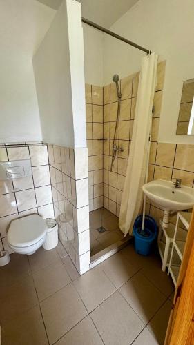 a bathroom with a shower and a toilet and a sink at Pokoje Gościnne Lipowa in Czaplinek