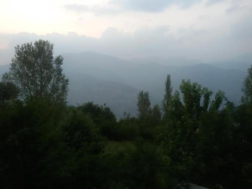 a view of a foggy valley with trees in the foreground at Executive Heights Apartments in Bhurban
