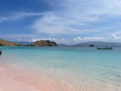 a beach with a boat in the water at Komodo Homestay in Komodo