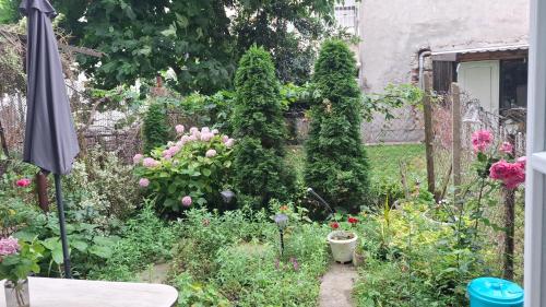 a garden with a bunch of flowers and an umbrella at City Center Apartment with a Backyard in Burgas City