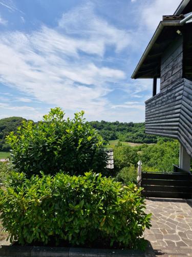 a house with two bushes in front of a building at GREENHILLS Relax & Holiday House in Kebel