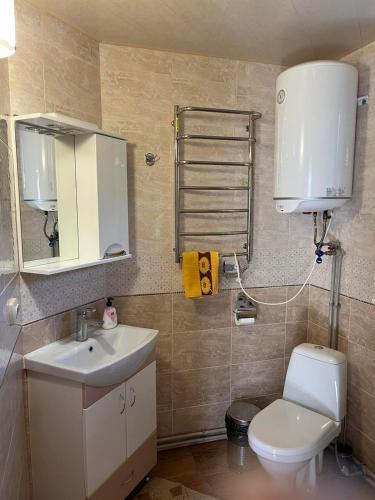 a bathroom with a toilet and a sink and a mirror at Дача Тиха in Dubyna