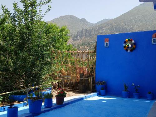 a blue wall with potted plants in a yard at Casa laila in Chefchaouene