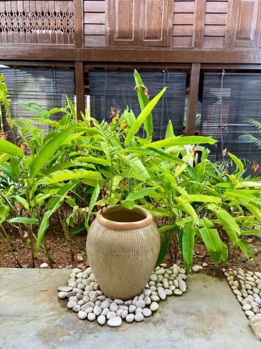 a large vase sitting on top of a bunch of plants at Landmark Cenang in Pantai Cenang