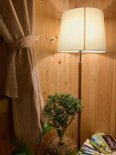 a lamp sitting next to a table with a potted plant at 스테이 편차 in Pyeongchang 