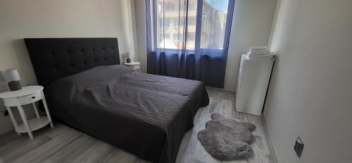 a bedroom with a bed and a cat laying on the floor at Darena apart in Stara Zagora
