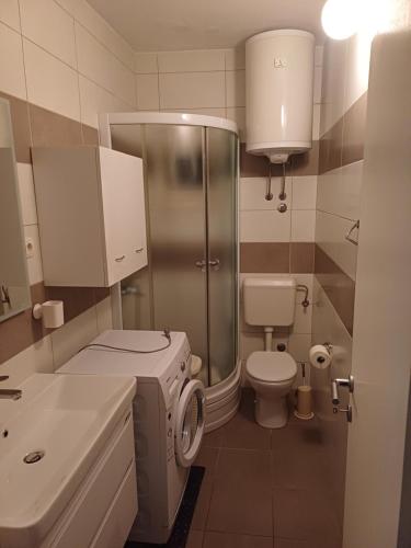 a bathroom with a shower and a toilet and a sink at Apartmani Šperanda Pisak in Pisak