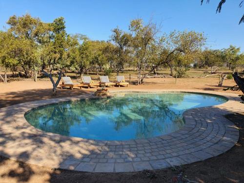 a swimming pool with lounge chairs and a table at Masorini Bush Lodge & Safari Tents in Phalaborwa