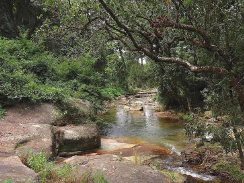 a stream of water with rocks in a forest at Masorini Bush Lodge & Safari Tents in Phalaborwa