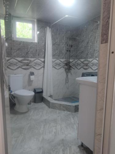 a bathroom with a shower and a toilet and a sink at Hotel Family Bachi in Adishi