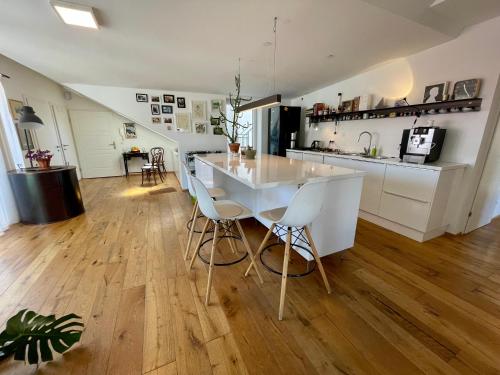 Bright loft 110 sqm with great roof terrace 100 sqm