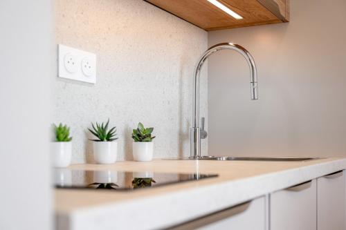 une cuisine avec un évier et 3 plantes en pot dans l'établissement BLEU PARADIS - Studio Cosy - Vue Mer & Terrasse Romantique - Parking privé, aux Issambres