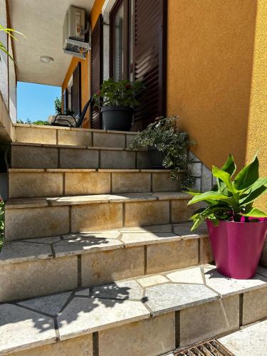 Apartman Petrić